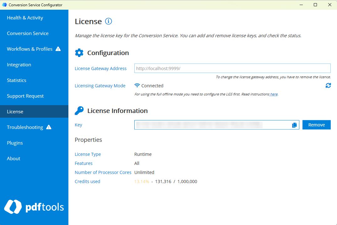 Screenshot of the Conversion Service Configurator with the license consumption details.